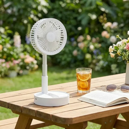 Rechargeable table/wall fan