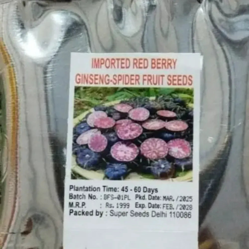 Red beery ginseng-spider fruit seeds