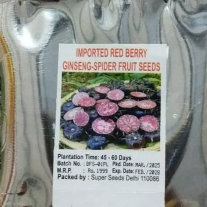 Red beery ginseng-spider fruit seeds