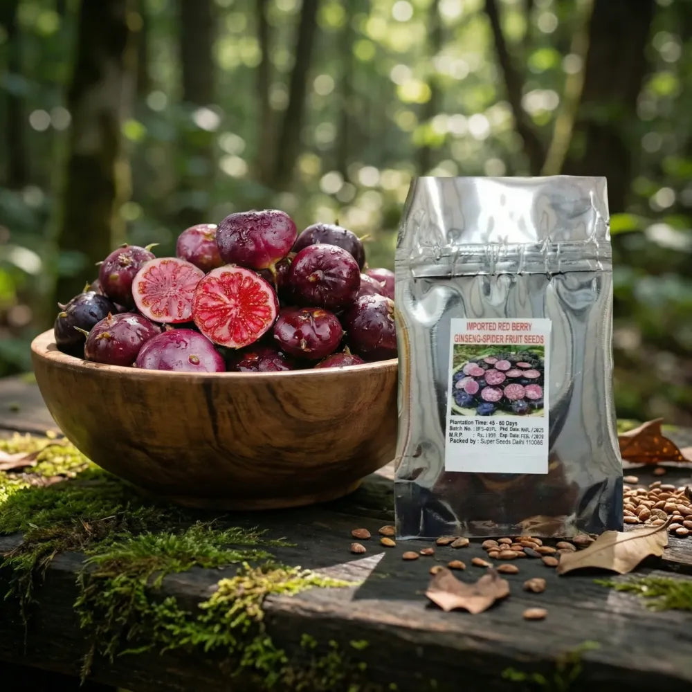 Red berry ginseng seeds