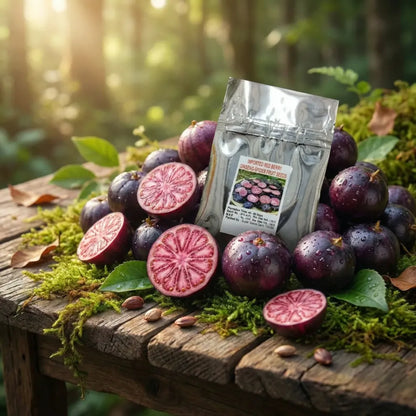 Red berry ginseng seeds