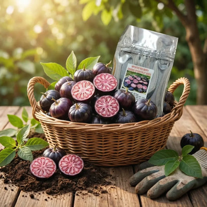 Red berry ginseng seeds