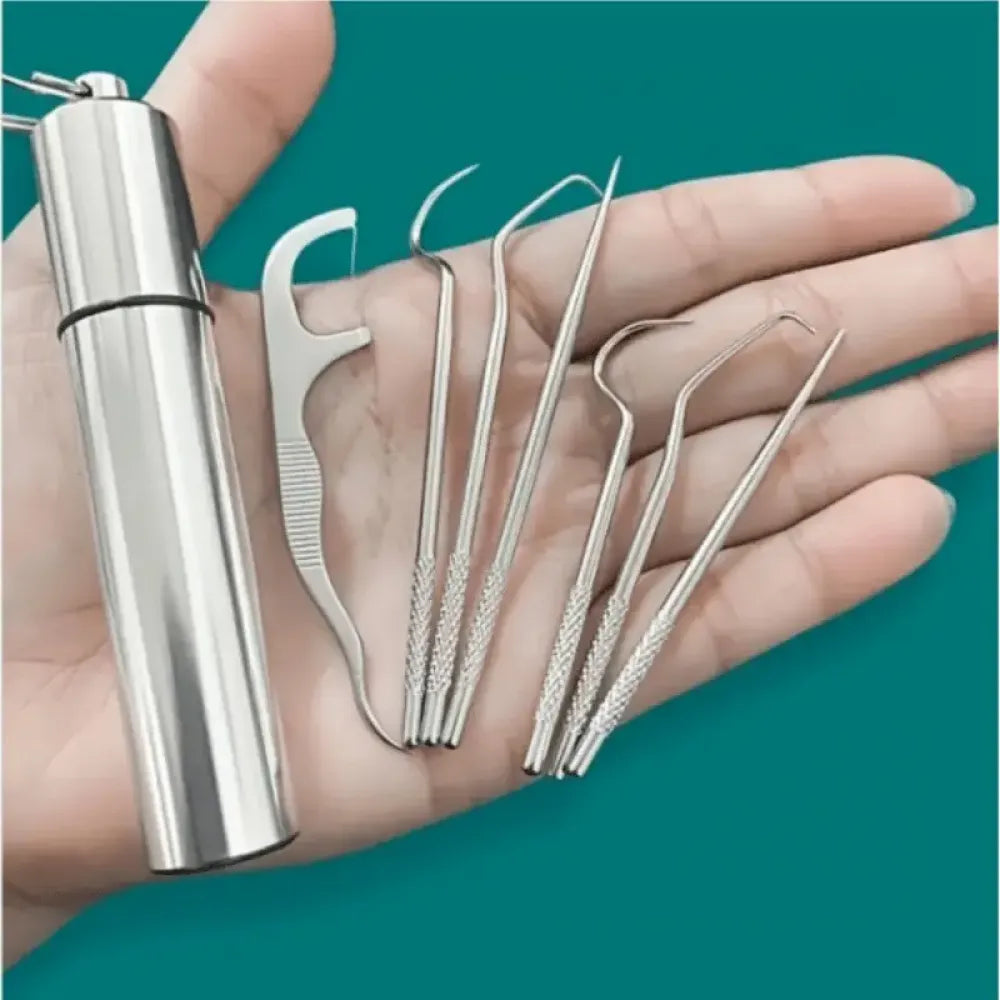 Reusable steel dental kit - home improvement