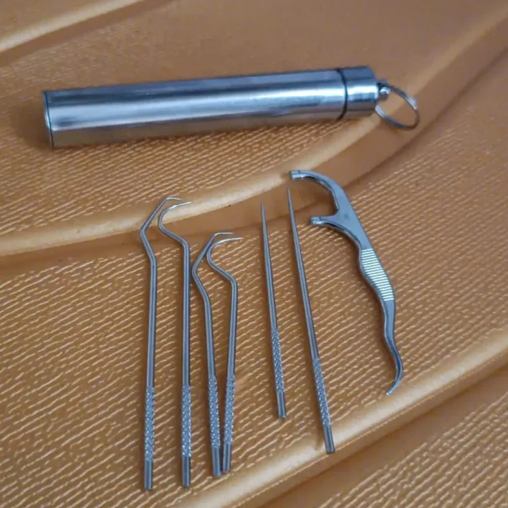 Reusable steel dental kit - home improvement