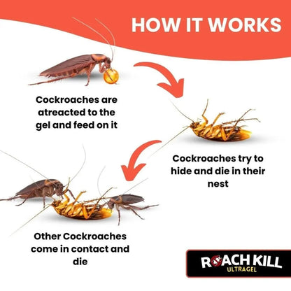 Roach kill ultragel pack of 2