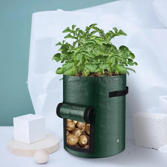 Root veggie grow bag