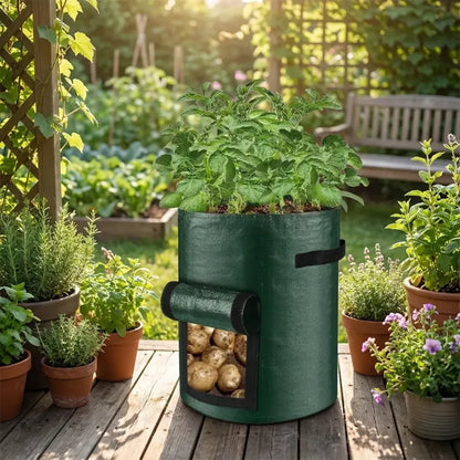 Root veggie grow bag