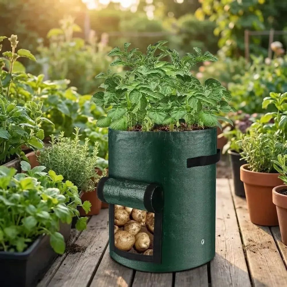 Root veggie grow bag
