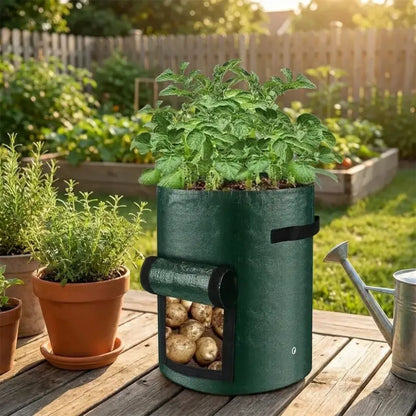 Root veggie grow bag