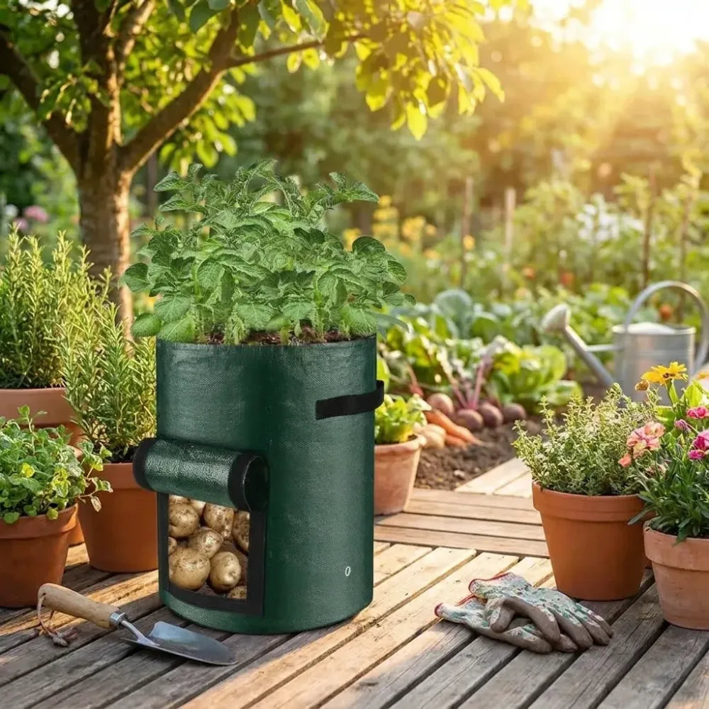 Root veggie grow bag