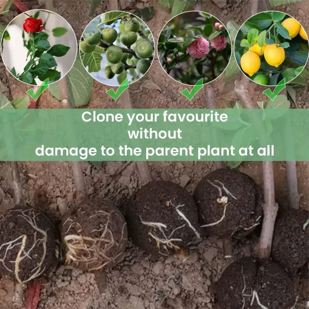 Rooting balls pot mix combo – 5 pcs