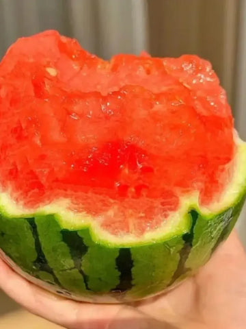 Ruby Watermelon Seed Pack