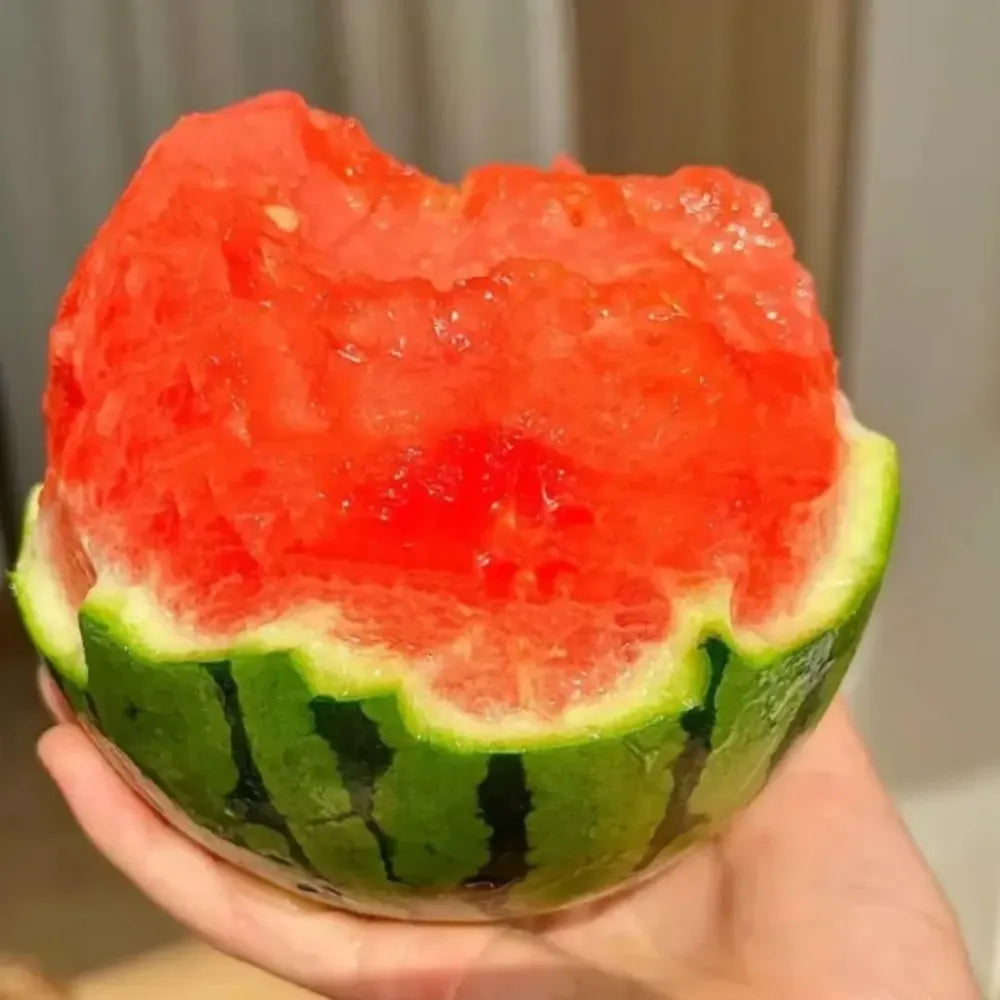 Ruby watermelon seed pack - gardening