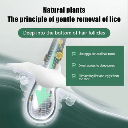 Plant Anti-Head Lice Treatment Shampoo (Pack of 2)