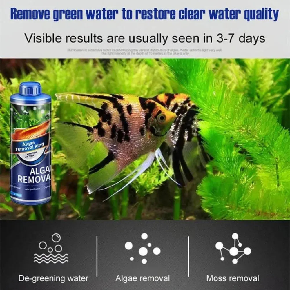 Safe algae remover liquid