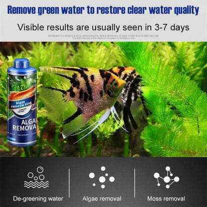 Safe algae remover liquid