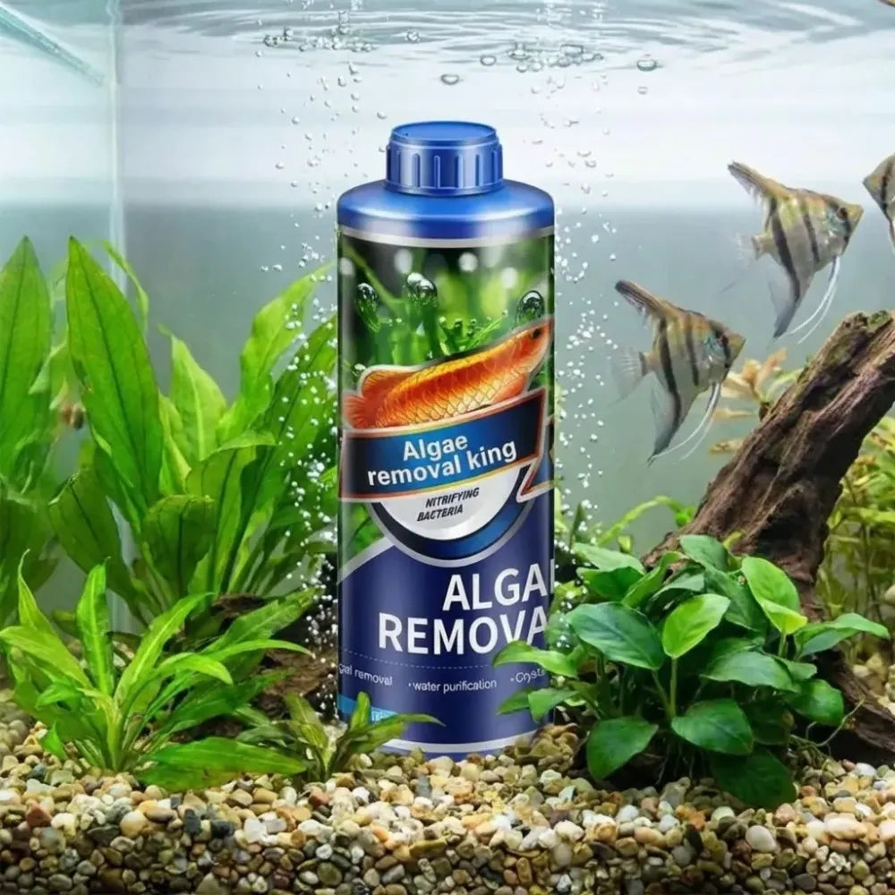 Safe algae remover liquid