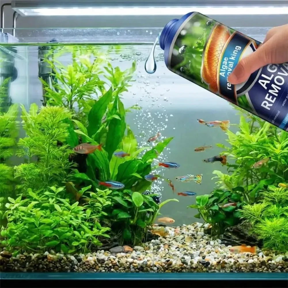 Safe algae remover liquid