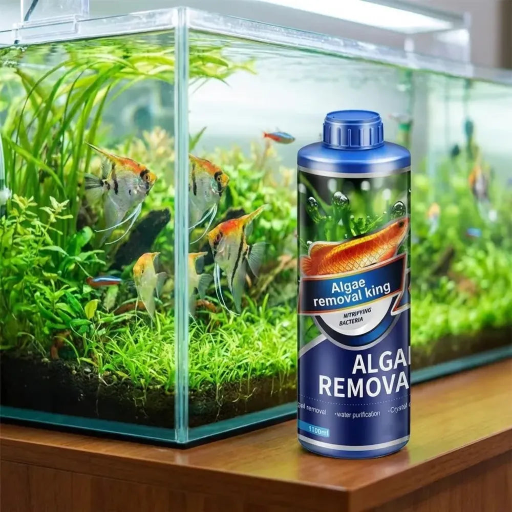 Safe algae remover liquid