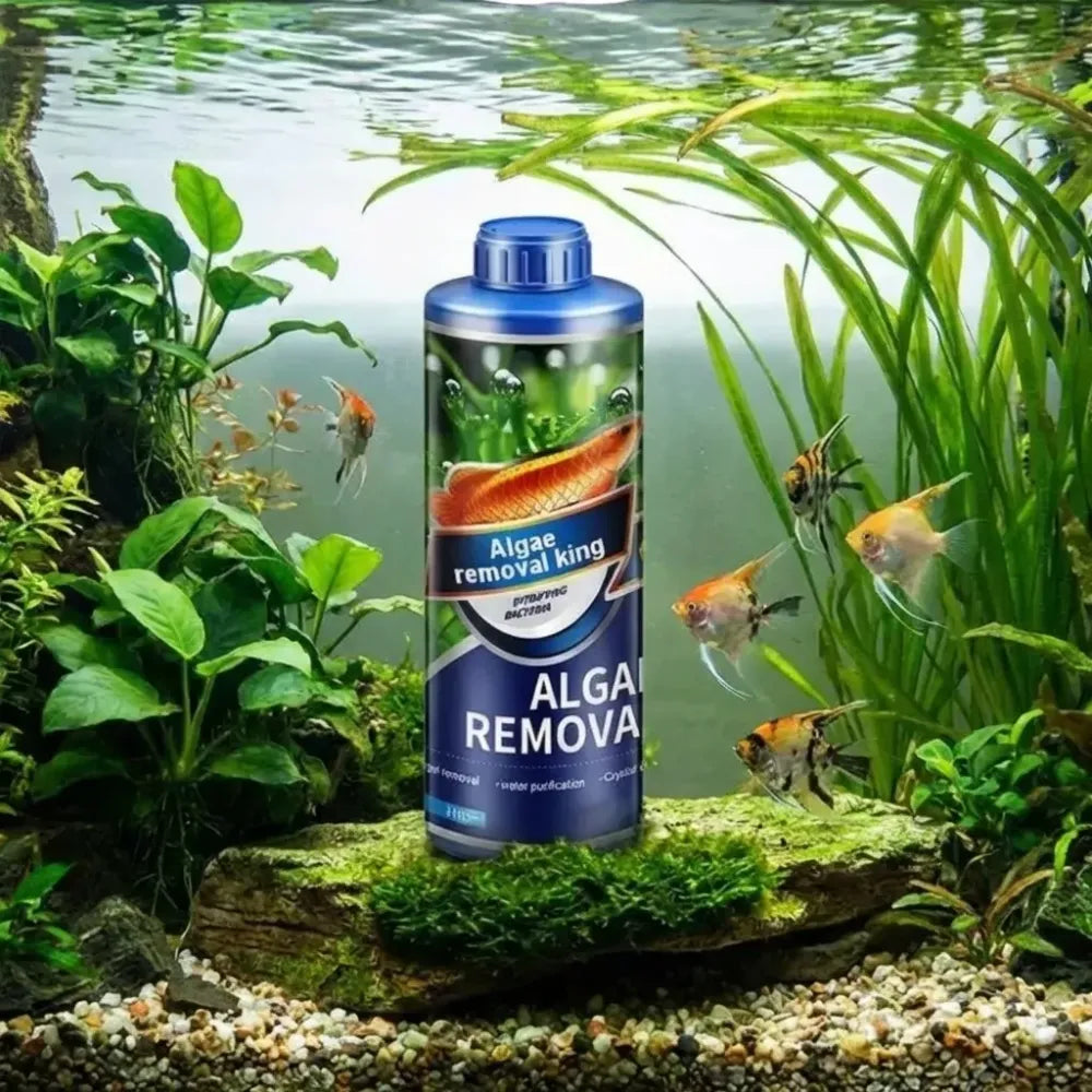 Safe algae remover liquid