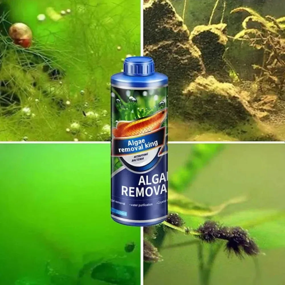 Safe algae remover liquid