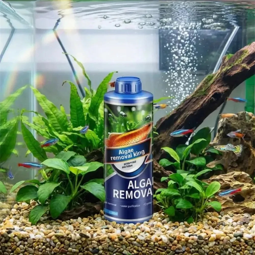 Safe algae remover liquid