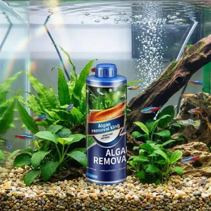 Safe algae remover liquid