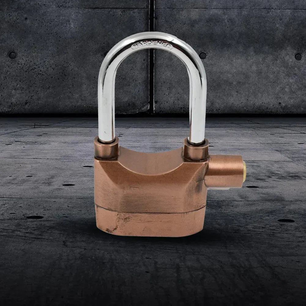 Security alarm padlock - home improvement