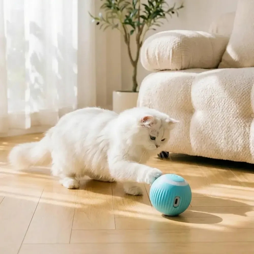 Smart led cat toy ball