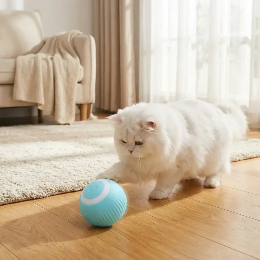 Smart led cat toy ball