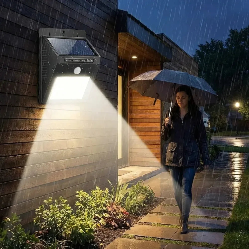 Solar motion sensor security light