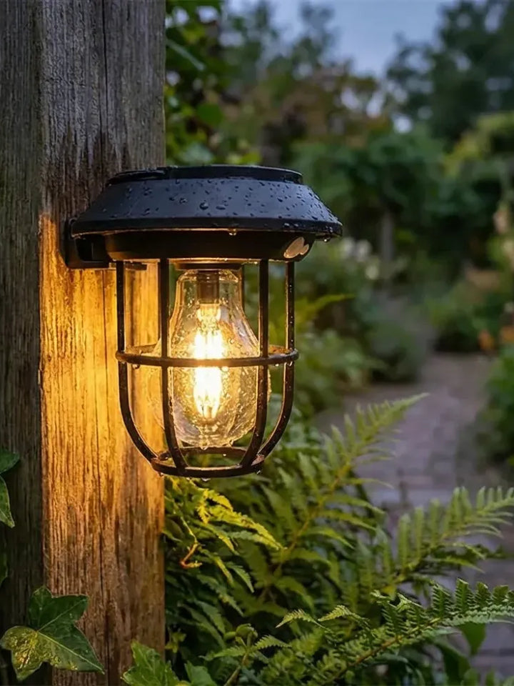 Solar Motion Sensor Wall Light