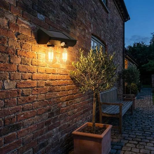 Solar-powered double led lamp - electronics
