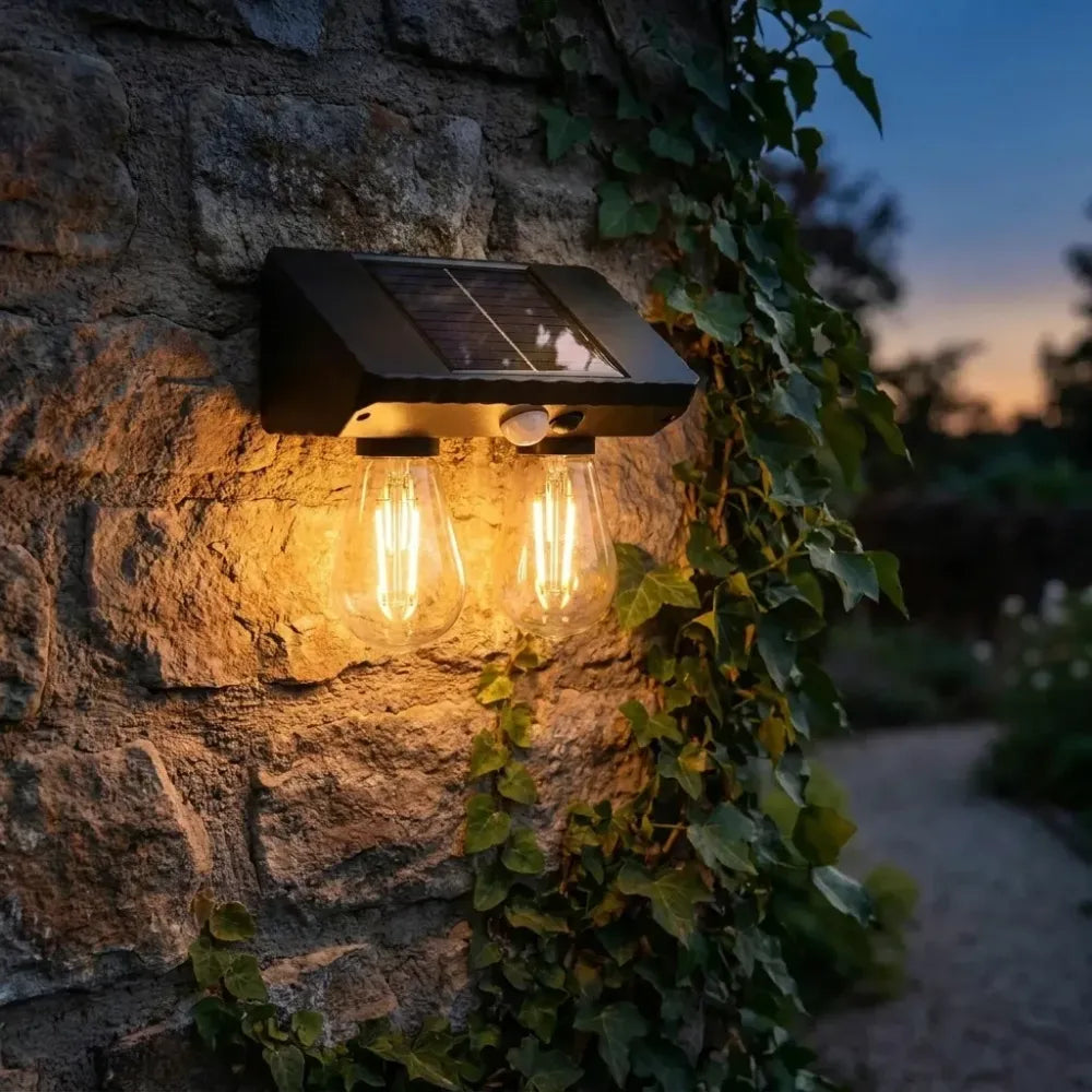 Solar-powered double led lamp - electronics