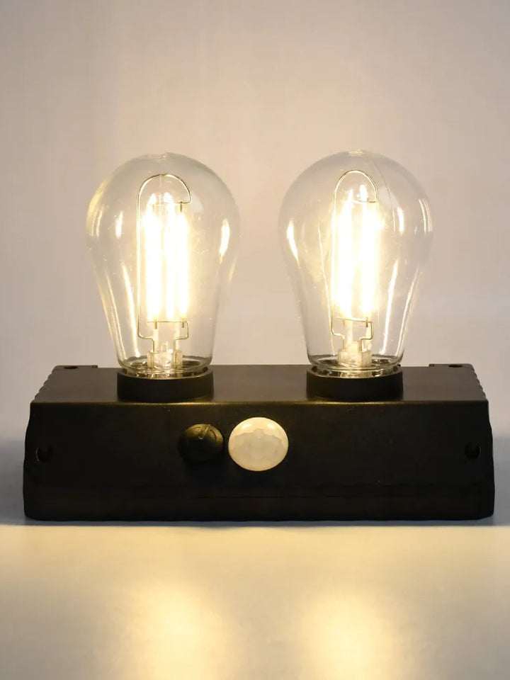 Solar-Powered Double LED Lamp