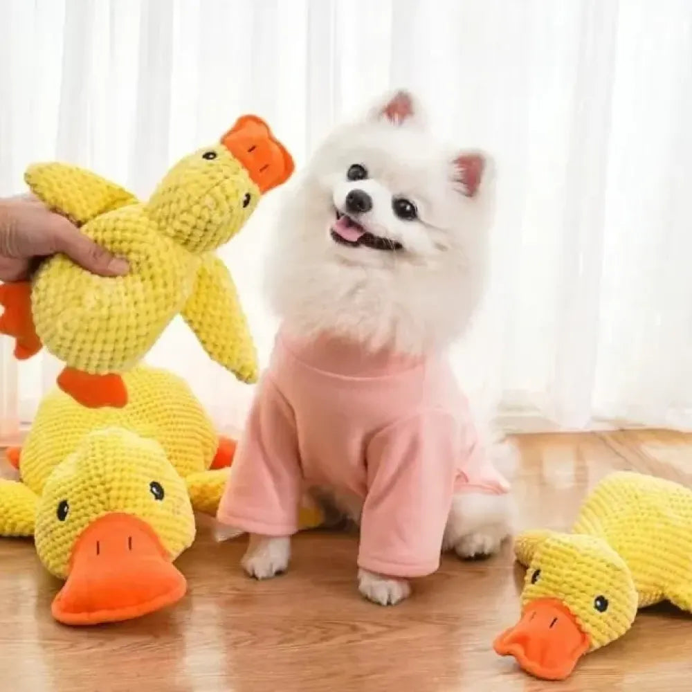 Squeaky plush dog toy