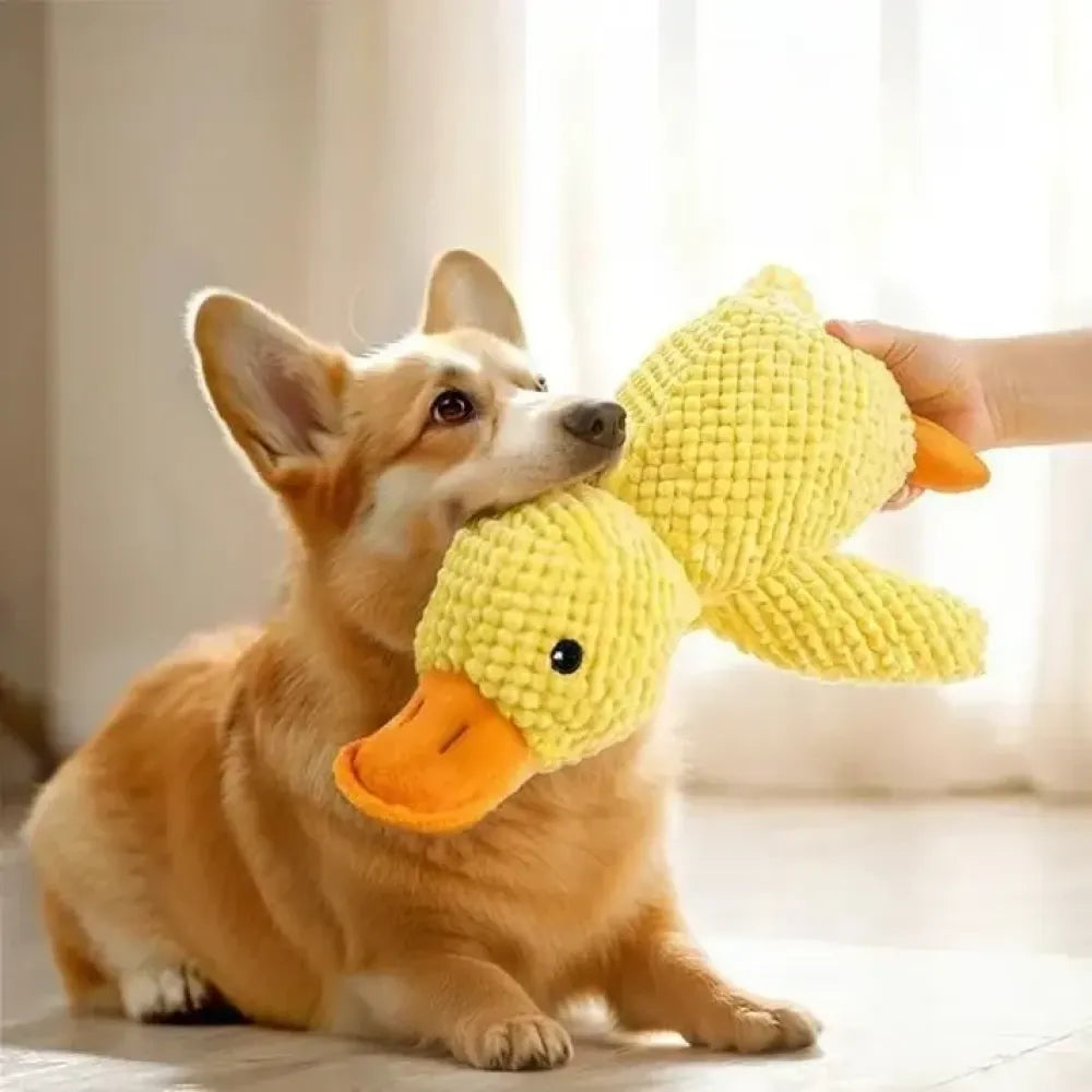Squeaky plush dog toy