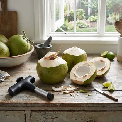 Stainless steel coconut opener tool - home & kitchen