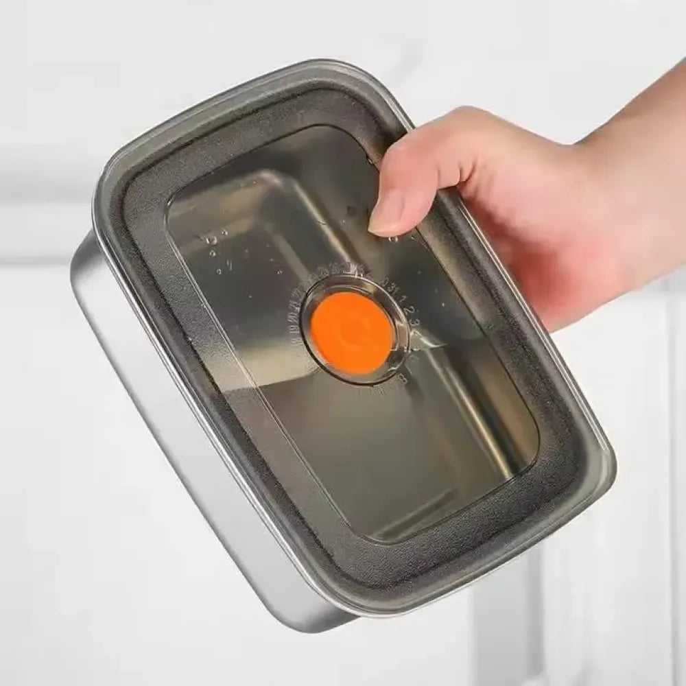 Stainless steel lunch container
