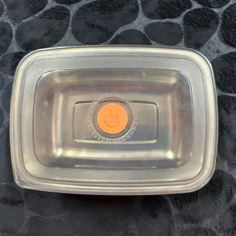 Stainless steel lunch container