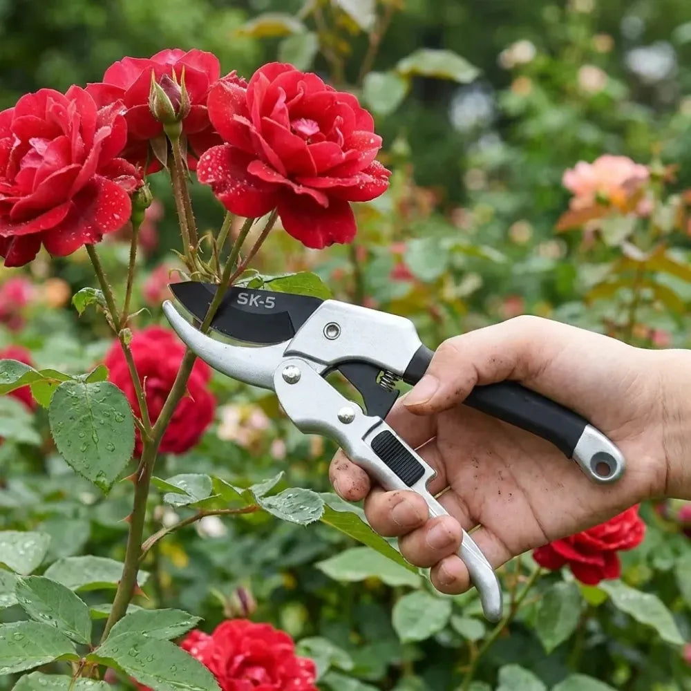 Stainless steel ratchet pruning shears