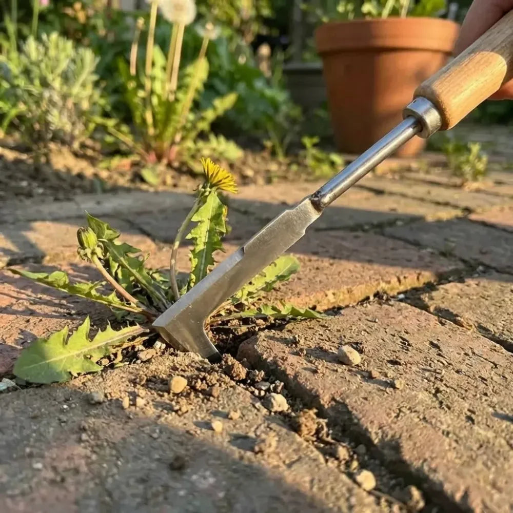 Stainless steel weed puller - gardening