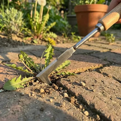 Stainless steel weed puller - gardening