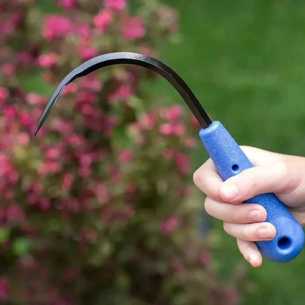 Surgical-precision weed removers - home essentials