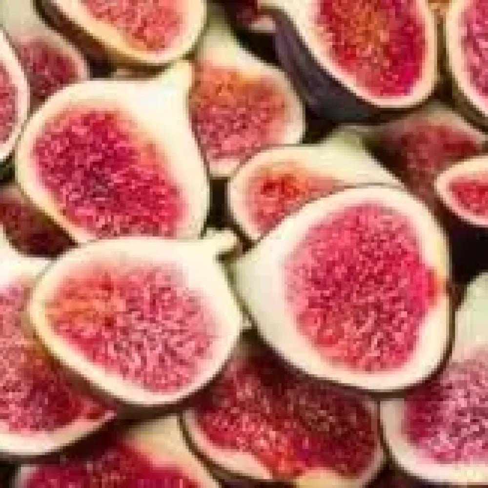 Sweet fig tree seeds