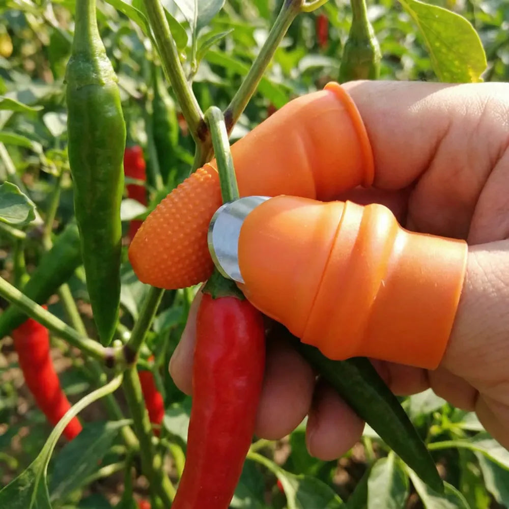 Thumb cutter tool - home & kitchen