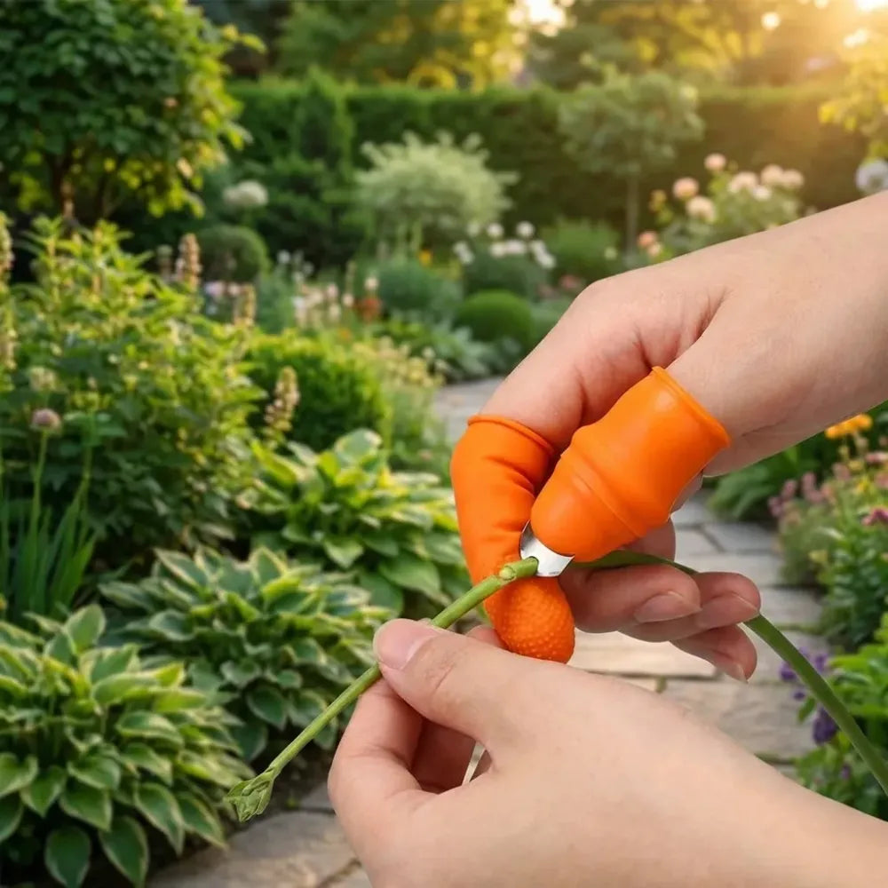 Thumb knife & finger protectors - garden