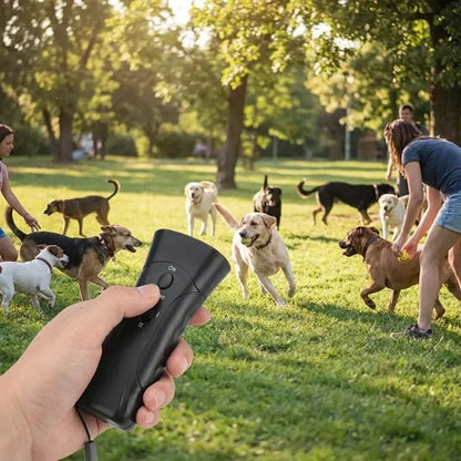 Ultrasonic dog chaser