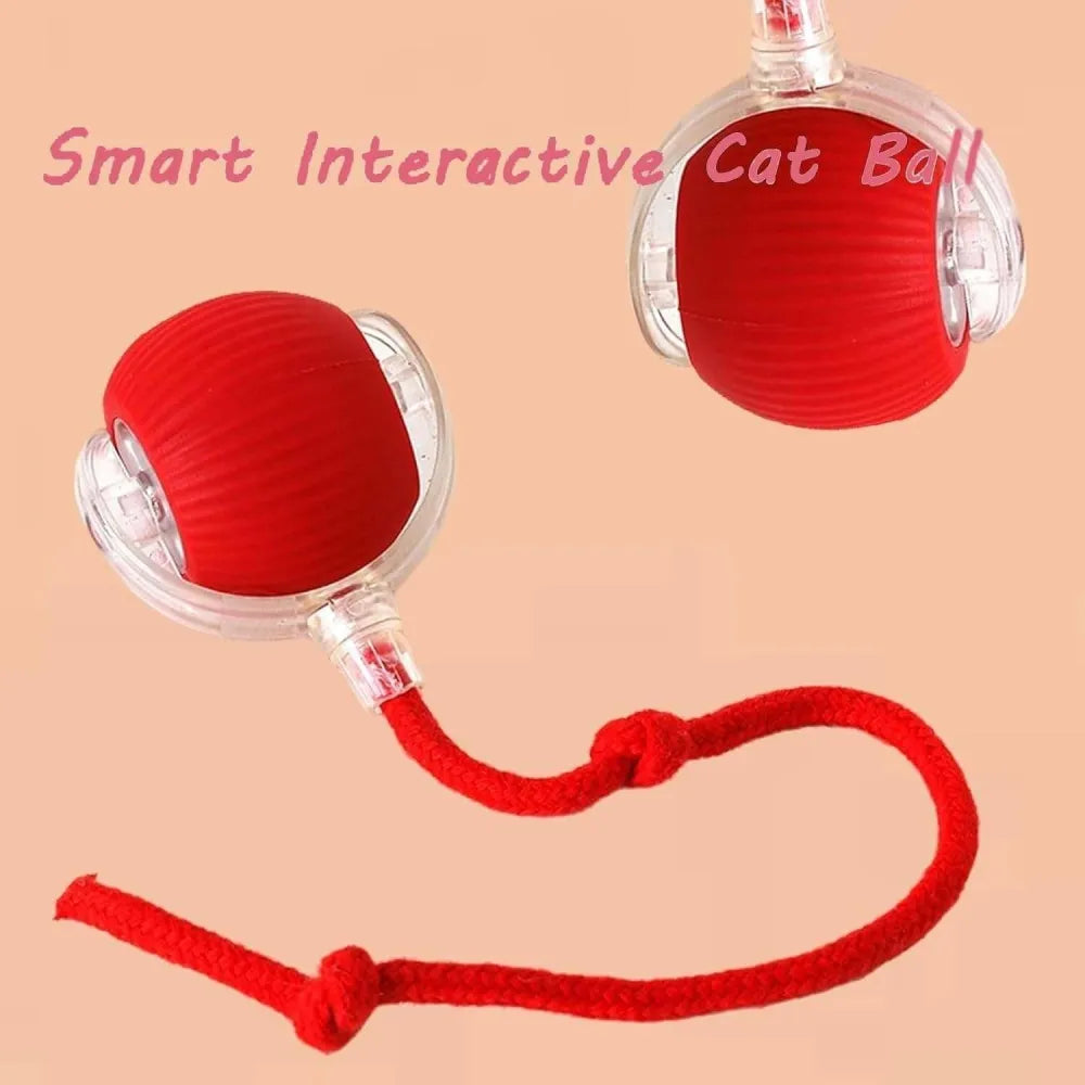 Viral rolling ball,interactive cat ball toy