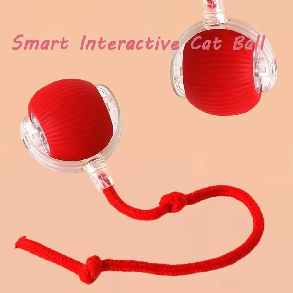 Viral rolling ball,interactive cat ball toy